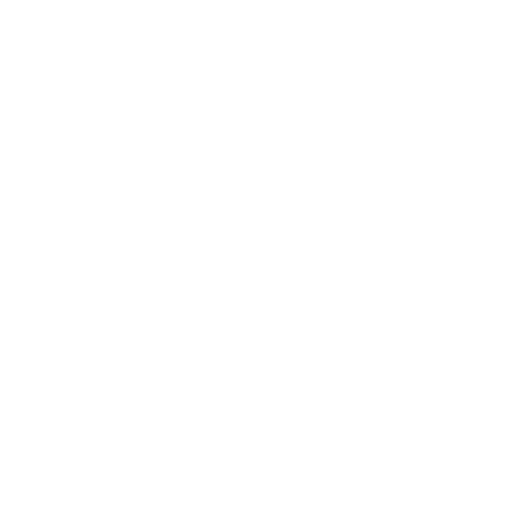 ERP Project Management
