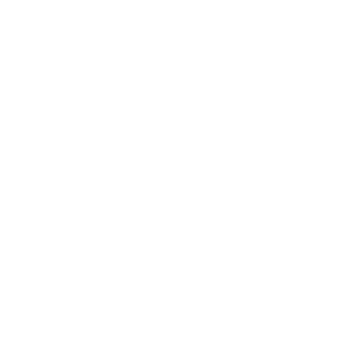 Advisor for ERP System